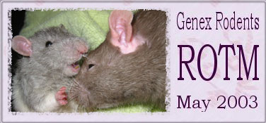 Genex Rodents Monthly Comp